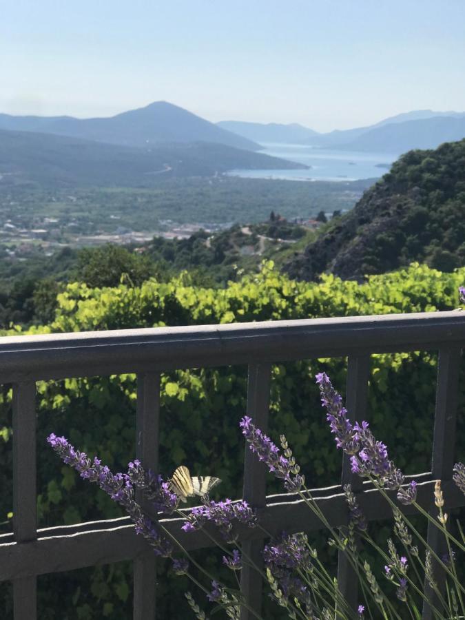 Villa Nikoleta Kotor Kültér fotó