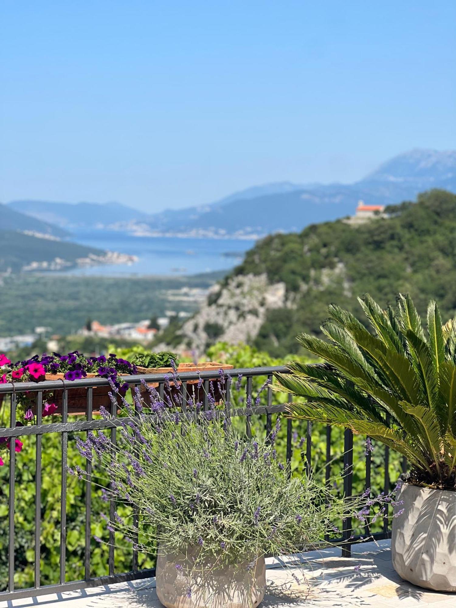 Villa Nikoleta Kotor Kültér fotó